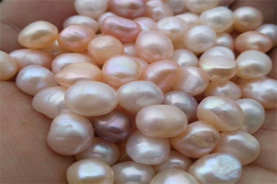 手电筒鉴别照珍珠透光