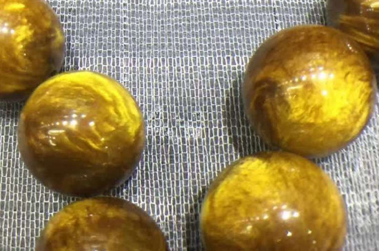 金丝海柳如何辨别真伪