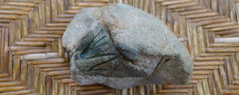 莫西沙大象皮原石特点