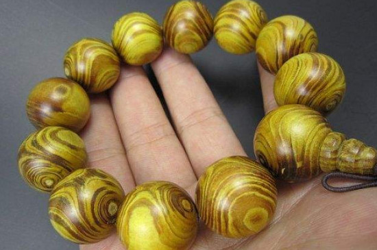 黄金柚产地在哪里