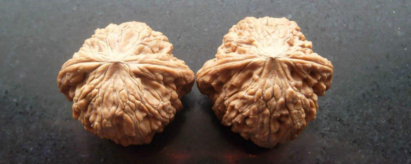 秋子和文玩核桃的区别