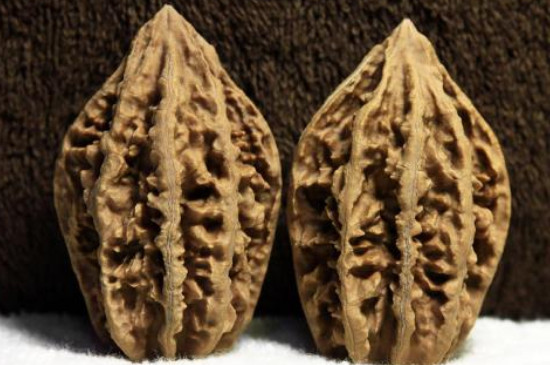 秋子和文玩核桃的区别