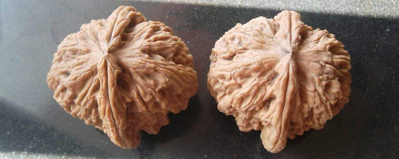 文玩核桃有黄筋怎么办