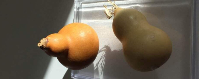 文玩小葫芦怎么盘红