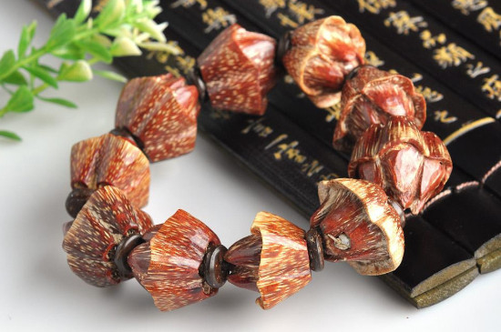 血莲花菩提怎么清理