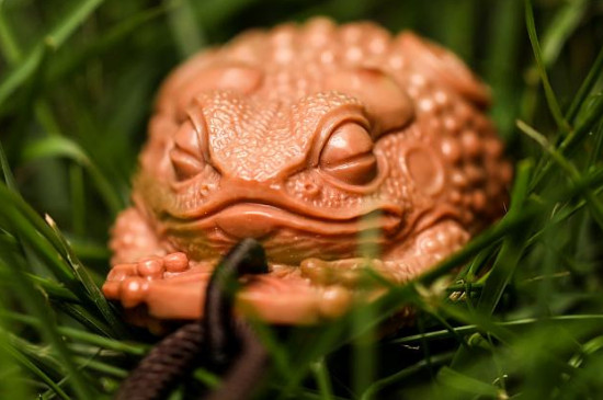 金蟾和貔貅哪个好