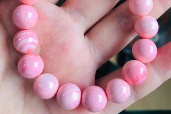 女王贝怎么保养