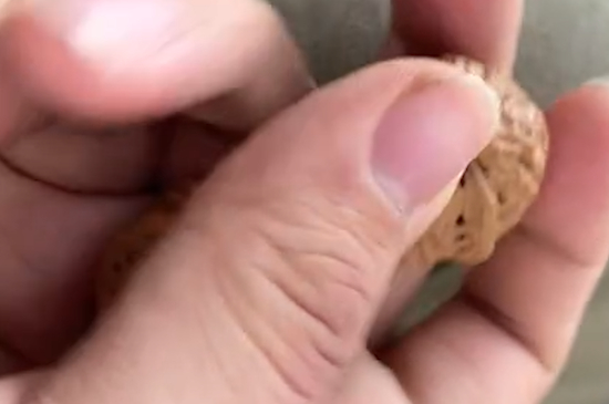 文玩核桃盘几天放几天