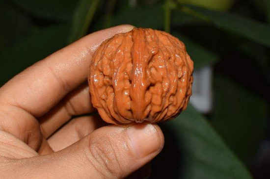 青皮文玩核桃怎么去皮