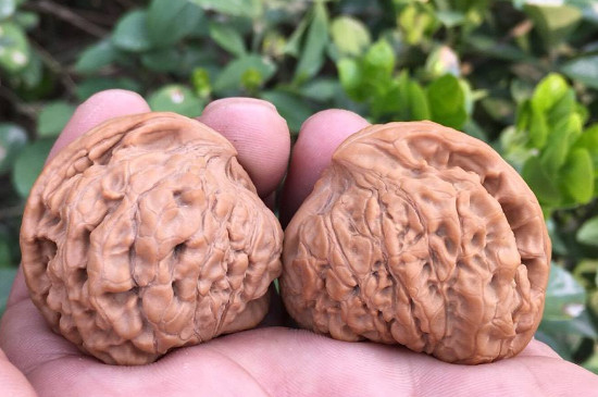 文玩核桃产地都是哪里