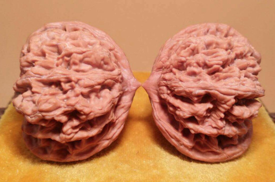 文玩核桃多久能包浆