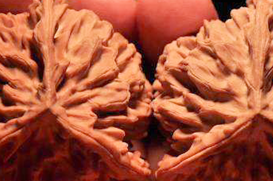 文玩核桃多久能变红