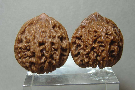 文玩核桃盘多久放一放