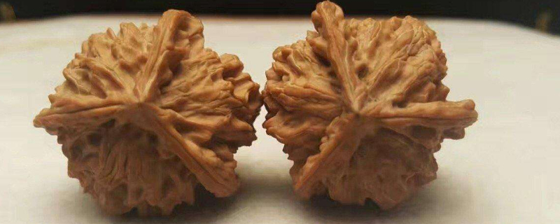 文玩核桃怎么清洗