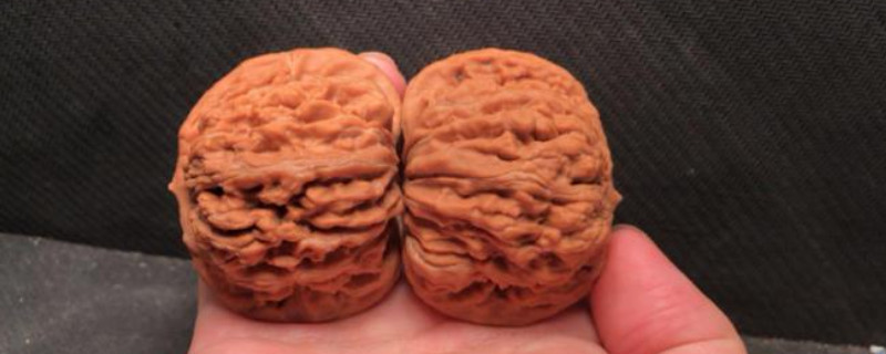 文玩核桃快速变红偏方