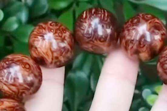 怎么看正宗紫油梨手串