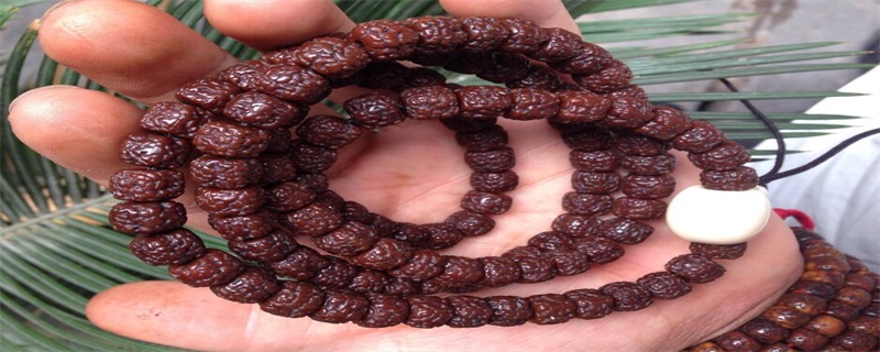 金刚菩提子发黑怎么办