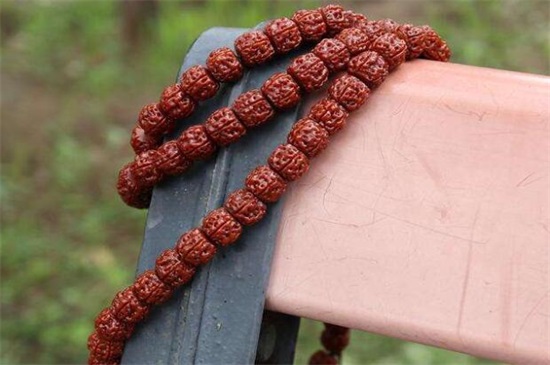 金刚菩提子发黑怎么办