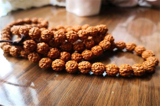 金刚菩提冬天怎么盘