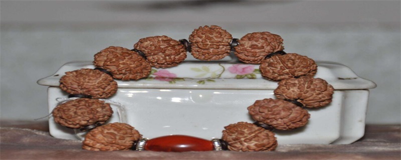 金刚菩提黄皮多久上色