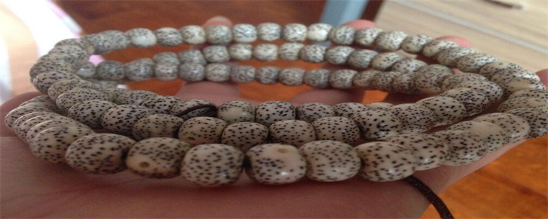 菩提子去皮方法