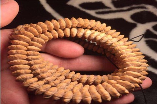 金叶莲花菩提寓意