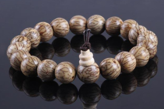 金线菩提子有什么寓意