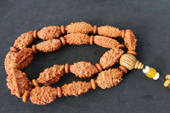 小金刚菩提寓意