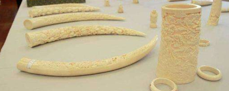 文玩香香骨到底是什么