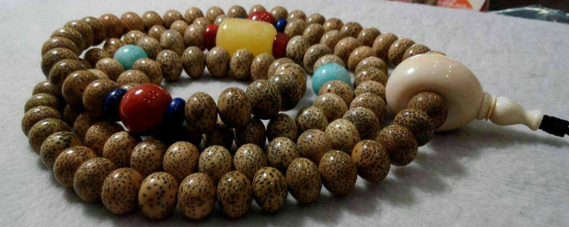 星月菩提怎么变色