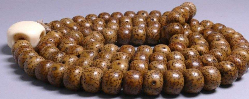 星月菩提怕汗吗