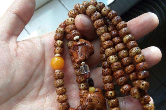 星月菩提用火烧什么样