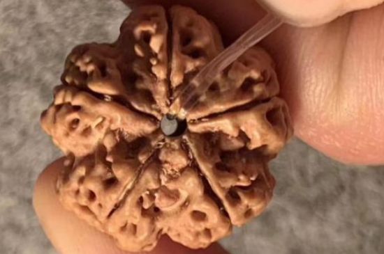 金刚菩提是哪里产的