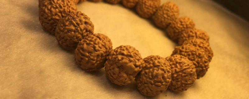 金刚菩提是哪里产的