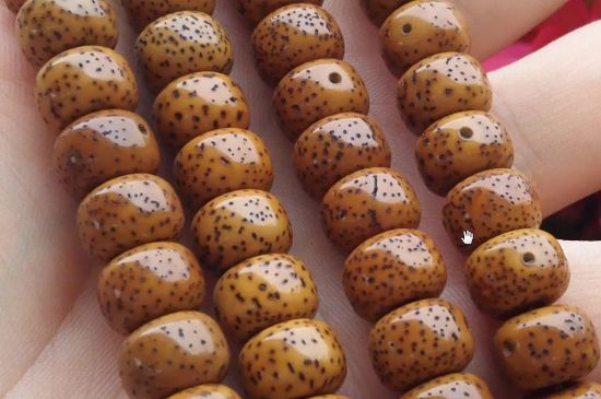 星月菩提怎么辨别包浆