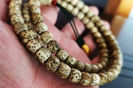 星月菩提女生戴哪个手