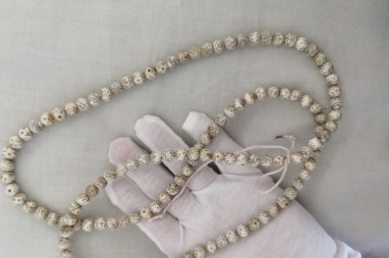 星月菩提女生戴哪个手