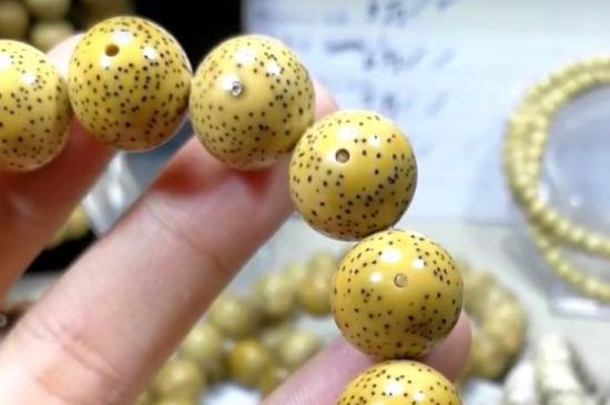 星月菩提几月成熟