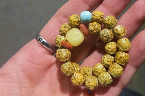 星月菩提都有什么品种