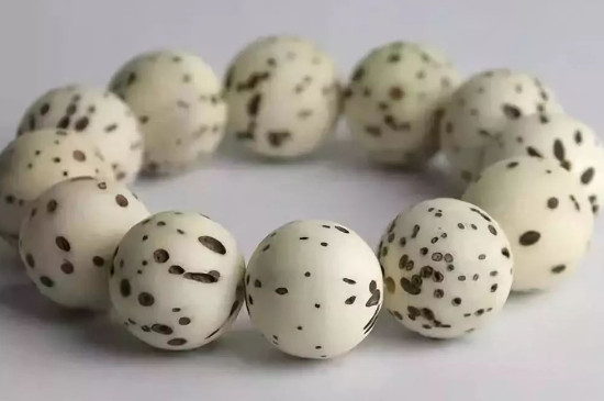 千眼菩提怎么上色