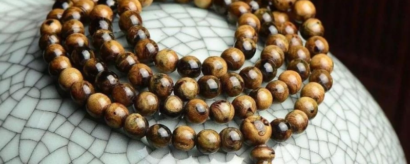 海柳开裂了怎么恢复