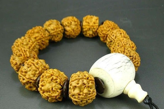 姜黄皮金刚多久能盘红